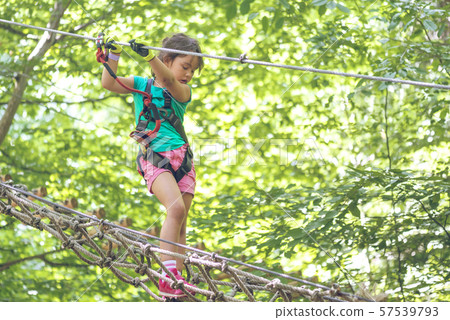 Little girl climbing in adventure park.  57539793