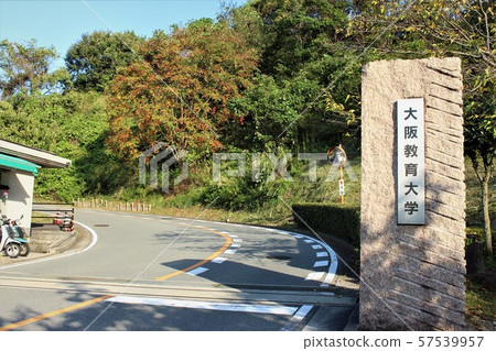 大阪教育大學 57539957