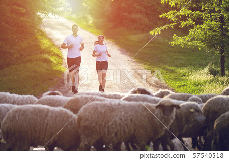 Couple of runners resting while training Couple of runners resting while training 57540518