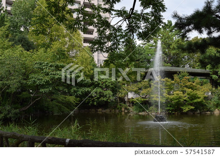 Akunoike, Tsurumai Park, Showa-ku, Nagoya 57541587