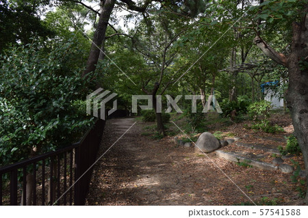 Kumazawayama，Tsurumai Park，Showa-ku，Nagoya 57541588