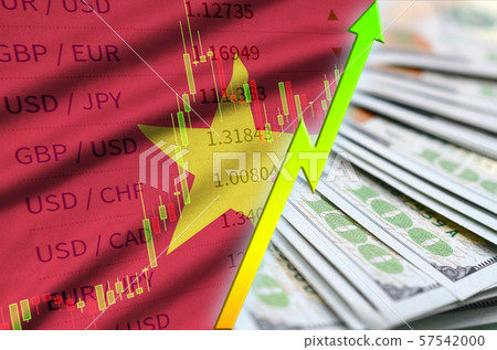 Vietnam flag and chart growing US dollar position 57542000