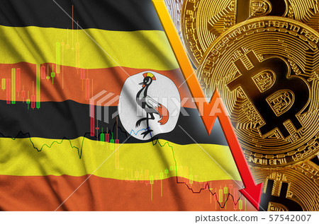 Uganda flag and cryptocurrency falling trend with 57542007