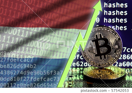 Netherlands flag and rising green arrow on bitcoin Netherlands flag and rising green arrow on bitcoin 57542053