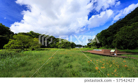 Koamishiro Forest(秋季) Koamishiro Forest(秋季) 57542427