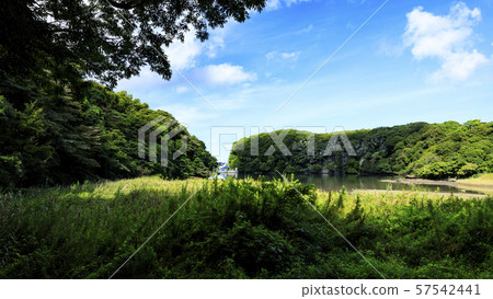 Koamishiro Forest (Autumn) 57542441