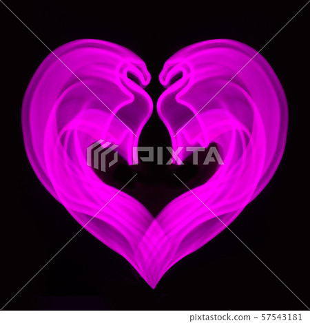 Neon pink flamingo LED lamp in shape of heart on black. Blurred abstract background. Neon pink flamingo LED lamp in shape of heart on black. Blurred abstract background. 57543181
