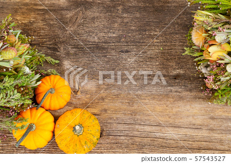 pumpkin on table 57543527