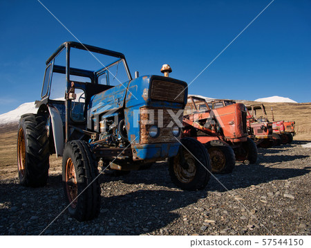 Several vintage tractors of different brands 57544150