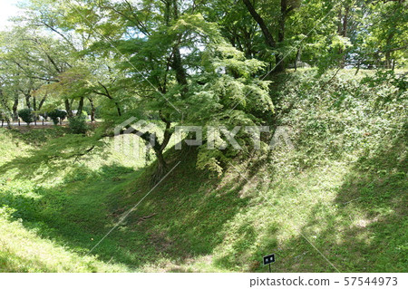 Nagashino Castle Moat 57544973