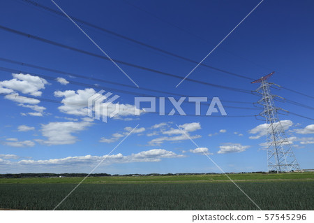 Rural landscape 57545296