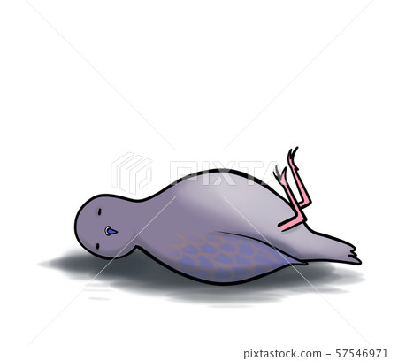 An illustration of a lying pigeon An illustration of a lying pigeon 57546971