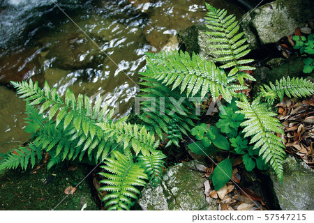 Tosu Waterfall Tosu Waterfall 57547215