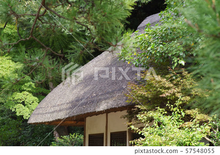 洞爺在花園裡 57548055