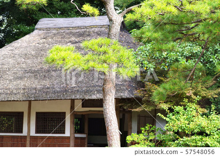 洞爺在花園裡 洞爺在花園裡 57548056