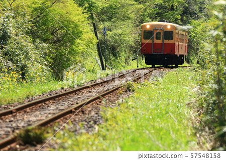 Katakoto Kominato 57548158