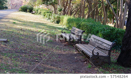 Landscape of Tsubaki Forest Green Path Park 57548264