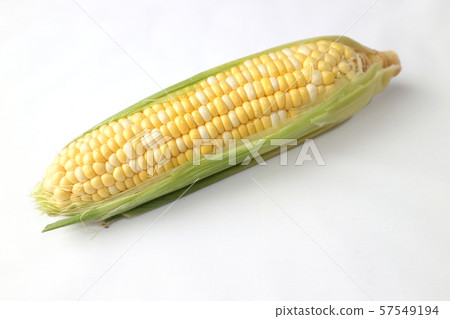 玉米 57549194
