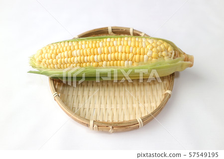 玉米 玉米 57549195