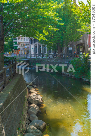 札幌Soseigawa街周圍的北海道夏日風光 57549308