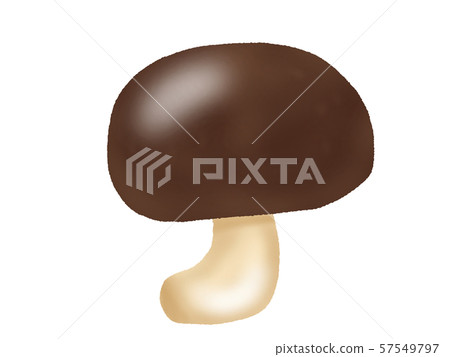 Shiitake (no line) Shiitake (no line) 57549797