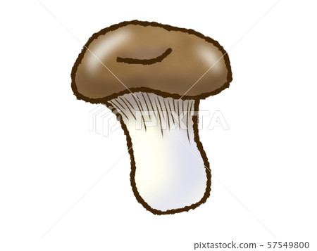 king oyster mushroom king oyster mushroom 57549800