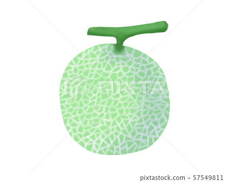 Melon (no line) 57549811