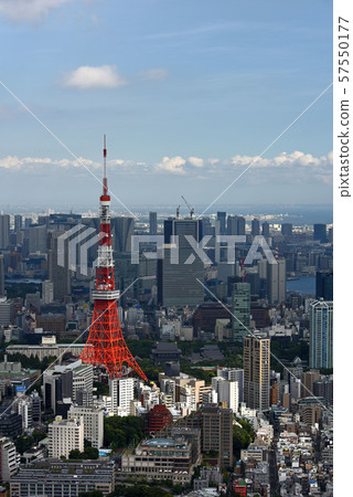 東京塔的城市 57550177