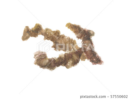 茅蒼朮日本槍術 57550602