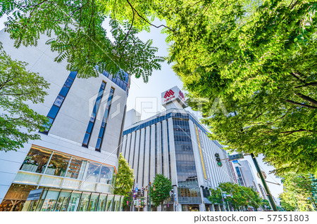 Summer in Hokkaido Sapporo Odori Park Landscape around Nishi 2-chome intersection 57551803