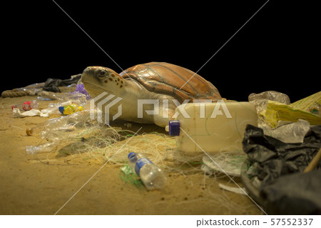 Stuff of Turtle and garbage on beach, focus Stuff of Turtle and garbage on beach, focus 57552337