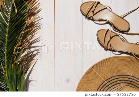Summer concept Summer concept 57552750