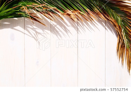 Summer time background 57552754