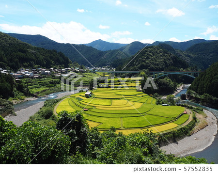 水稻梯田 水稻梯田 57552835