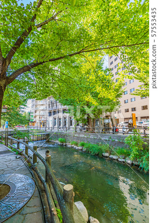 Hokkaido Summer Scenery around Sapporo Soseigawa Street Hokkaido Summer Scenery around Sapporo Soseigawa Street 57553435