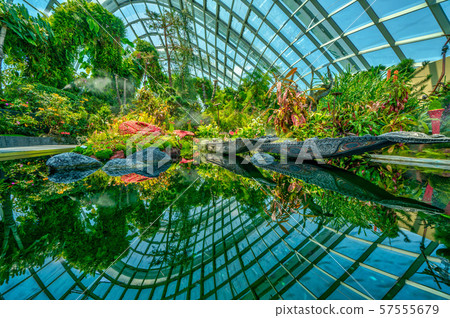 新加坡濱海灣花園,雲霧森林池塘 新加坡濱海灣花園,雲霧森林池塘 57555679