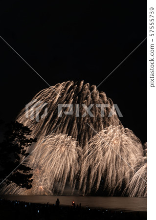 Suzuka Genki Fireworks Festival 57555739
