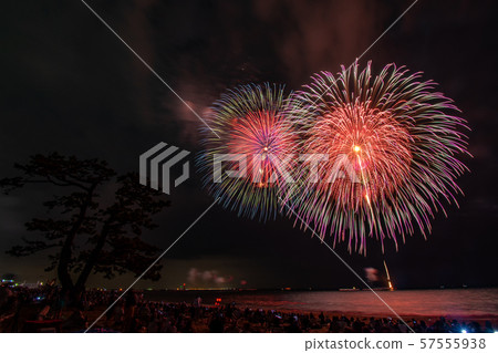Suzuka Genki Fireworks Festival 57555938