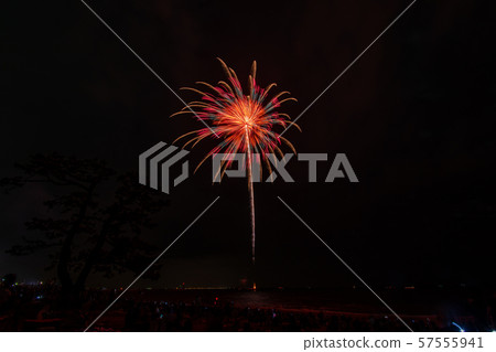 Suzuka Genki Fireworks Festival 57555941