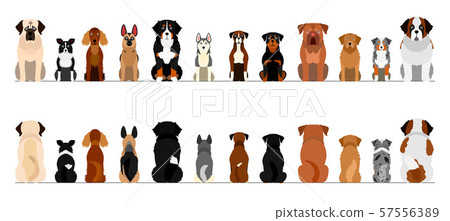 Dog Border Large Dog Full Body Set 57556389
