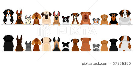 Dog Border Large Dog Upper Body Front / Rear Set 57556390