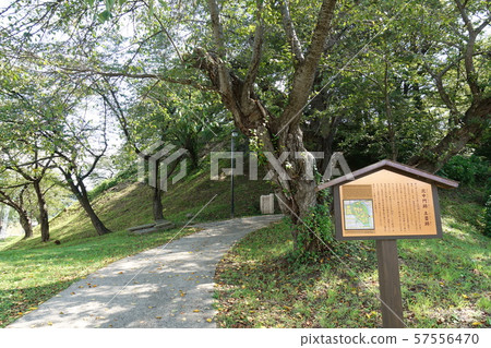 飯山城北中門 57556470