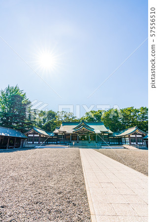 Hokkaido Summer Sapporo Gokoku Shrine 57556510