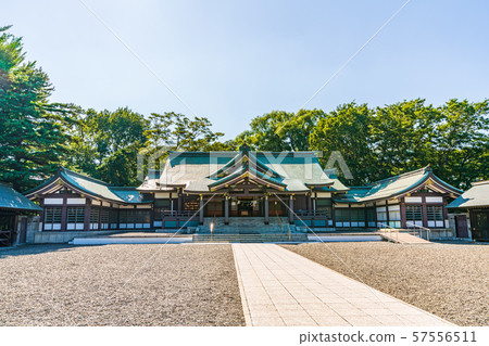 Hokkaido Summer Sapporo Gokoku Shrine 57556511