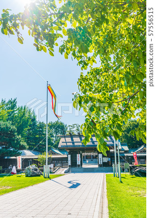 北海道夏季札幌護國神社 57556515