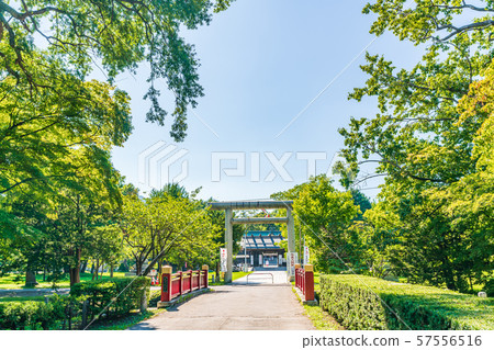 北海道夏季札幌護國神社 57556516