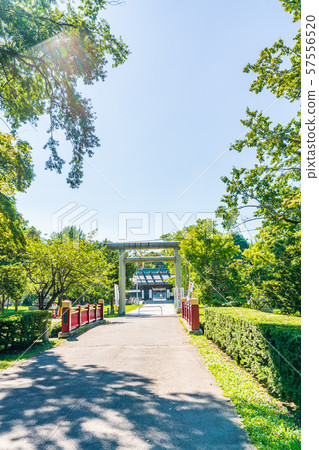 北海道夏季札幌護國神社 57556520
