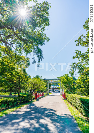 Hokkaido Summer Sapporo Gokoku Shrine 57556521