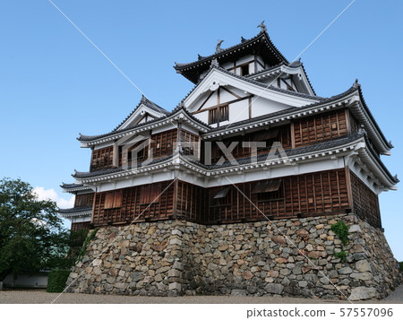 Fukuchiyama Castle Fukuchiyama Castle 57557096