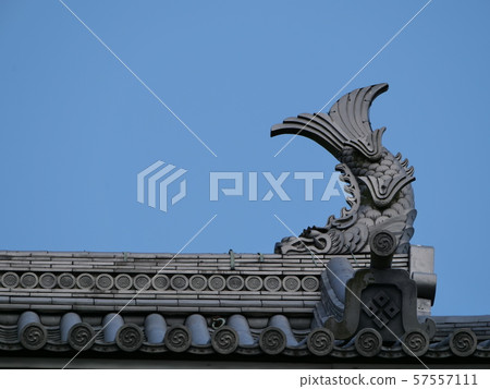 Fukuchiyama Castle 57557111